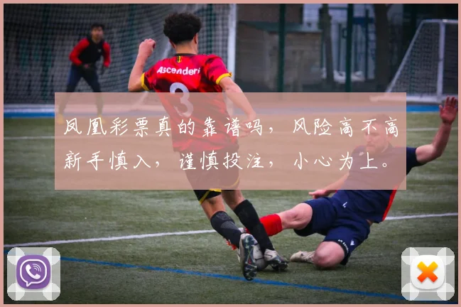 凤凰彩票真的靠谱吗，风险高不高新手慎入，谨慎投注，小心为上。