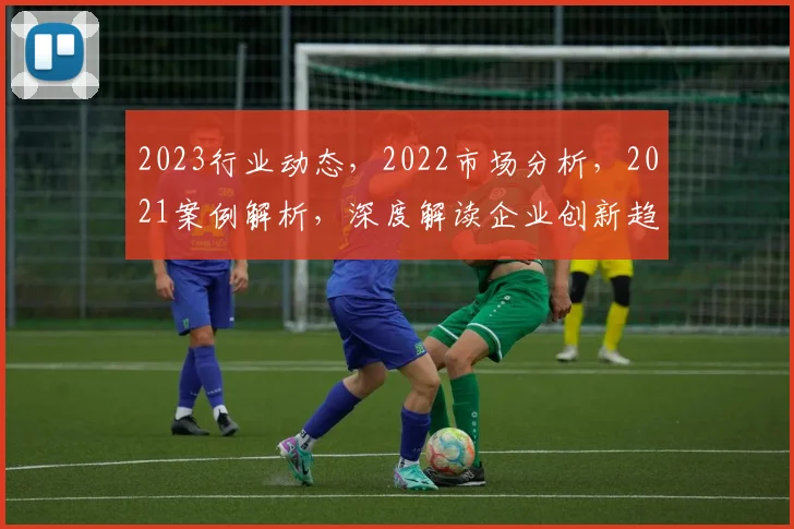 2023行业动态，2022市场分析，2021案例解析，深度解读企业创新趋势